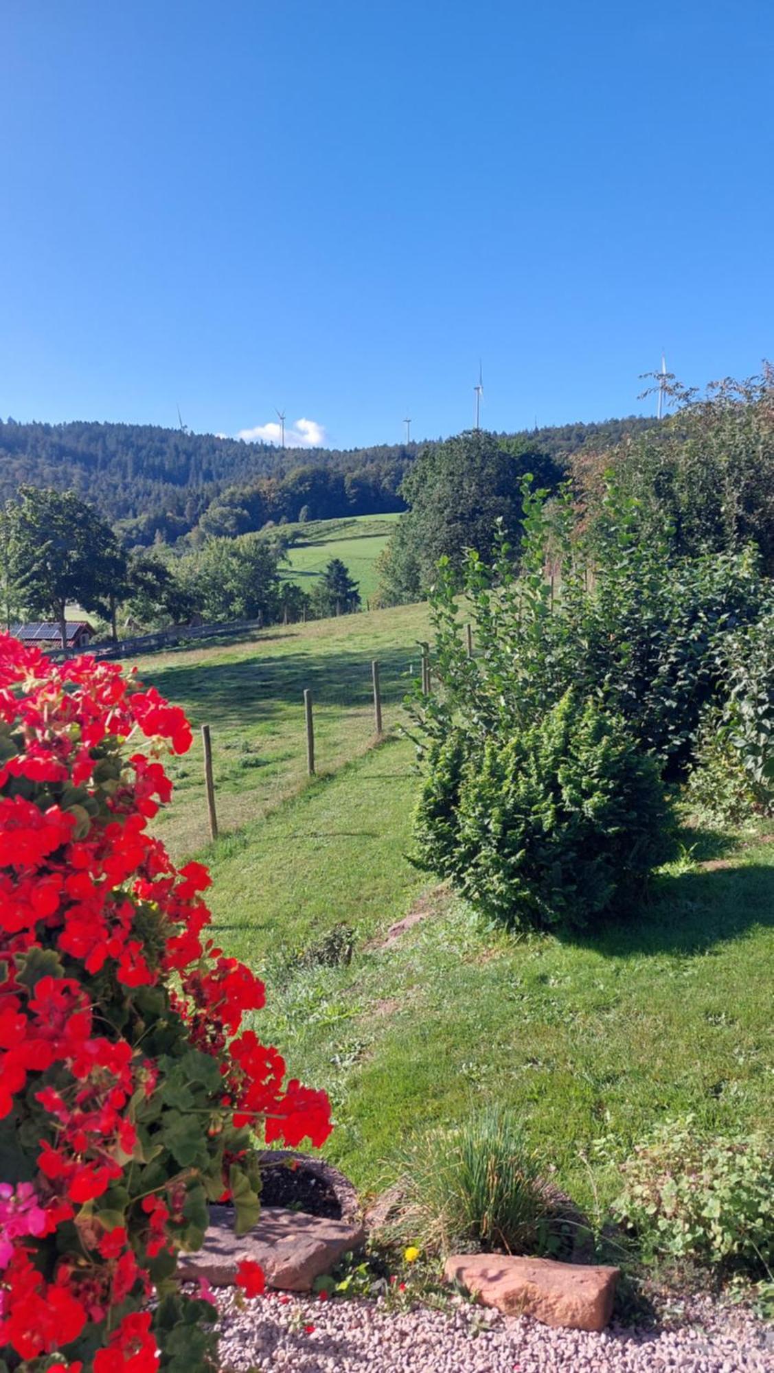 Bergfeldhof Βίλα Haingrund Εξωτερικό φωτογραφία